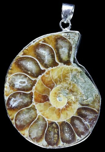 Fossil Ammonite Pendant - Million Years Old #89817